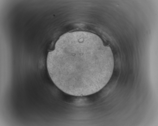 X0000101650274200808071121