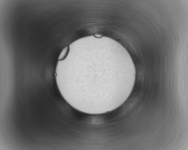 X0000101650275200808071121