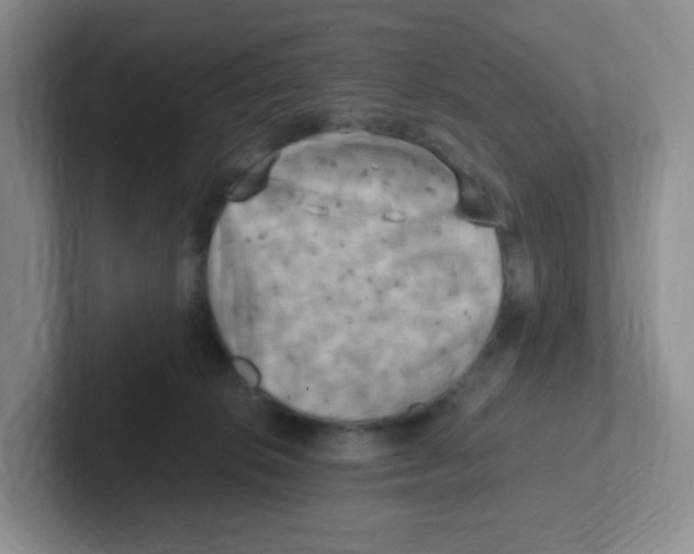X0000101650276200808071121