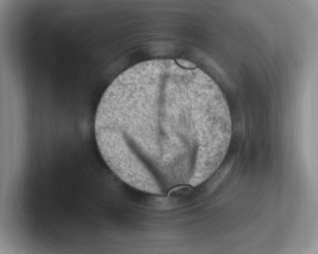 X0000101650277200808071121