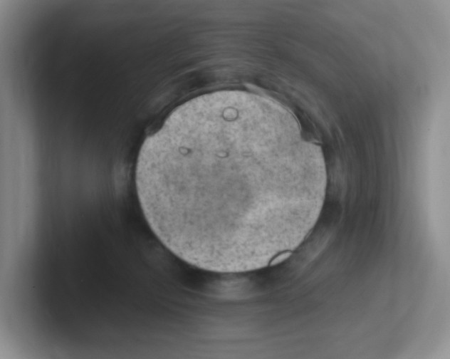 X0000101650278200808071121