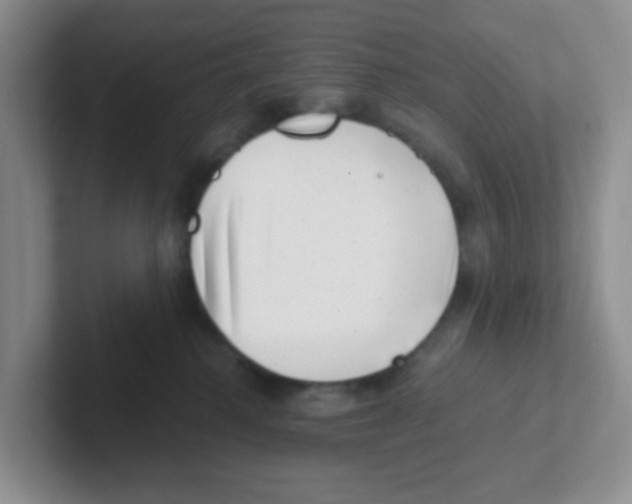 X0000101650280200808071121