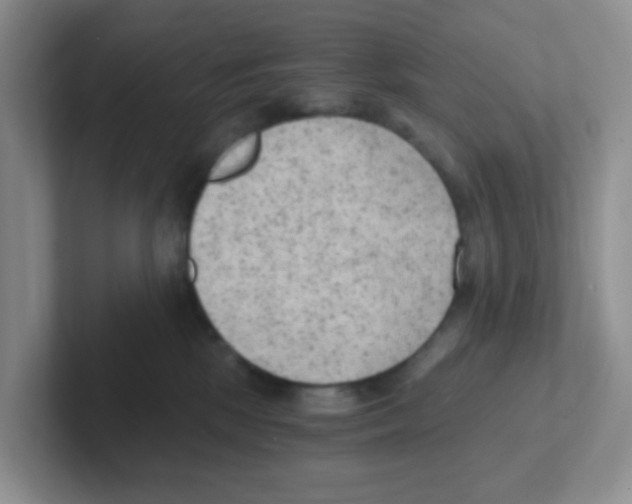 X0000101650281200808071121