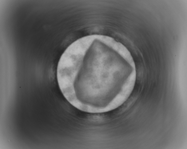 X0000101650282200808071121