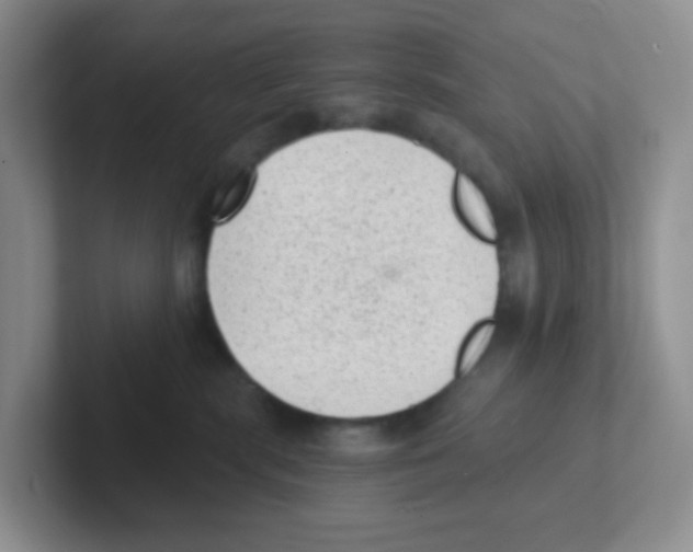 X0000101650283200808071121