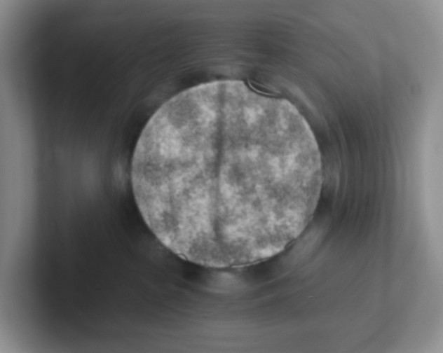 X0000101650285200808071121