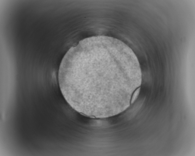 X0000101650286200808071121