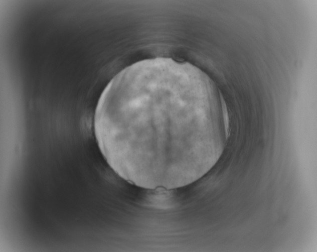 X0000101650288200808071121