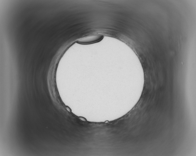 X0000101650289200808071121