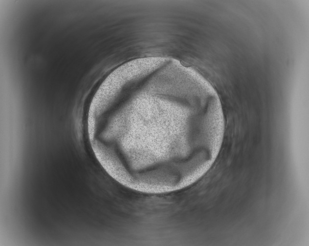 X0000101650290200808071121