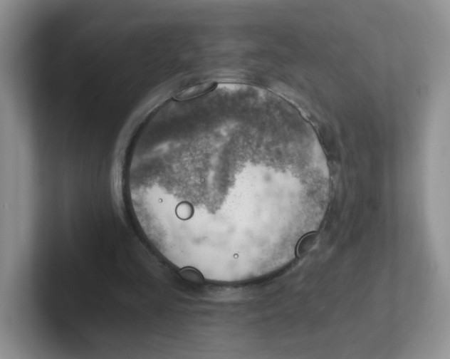 X0000101650293200808071120