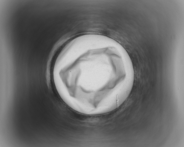 X0000101650294200808071120
