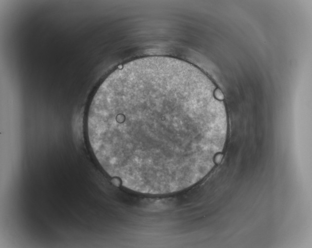 X0000101650297200808071120