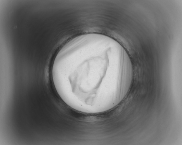 X0000101650298200808071120