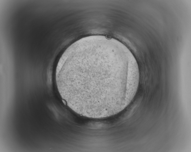 X0000101650299200808071120
