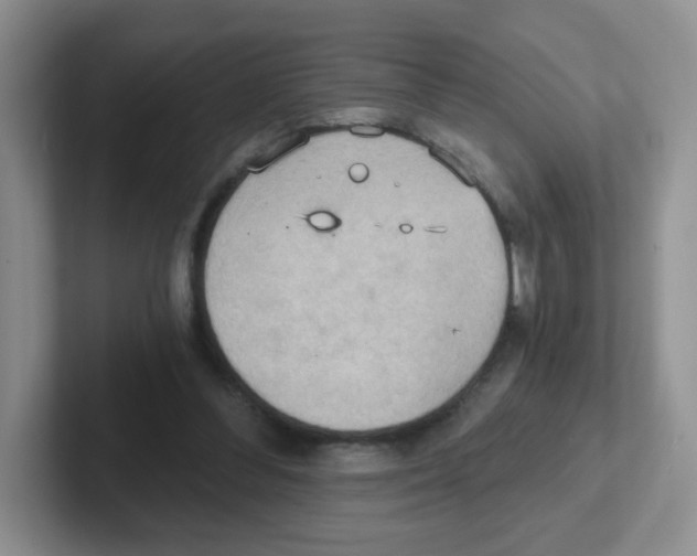 X0000101650300200808071120