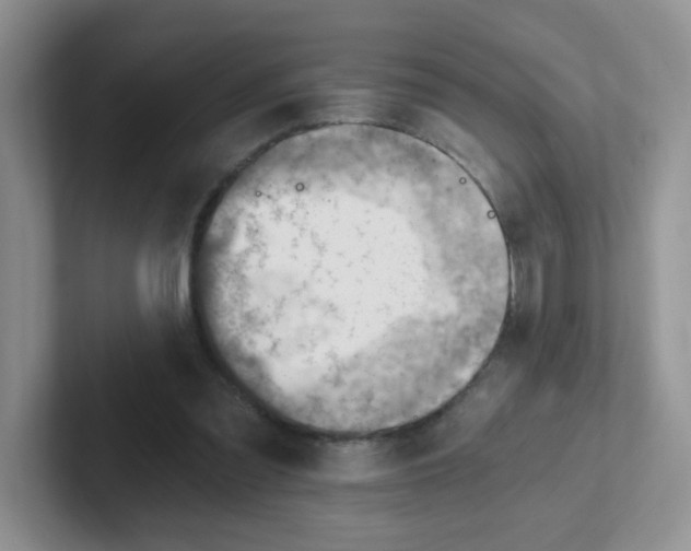 X0000101650301200808071120