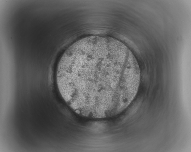 X0000101650303200808071120