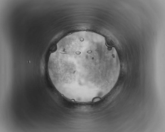 X0000101650304200808071120