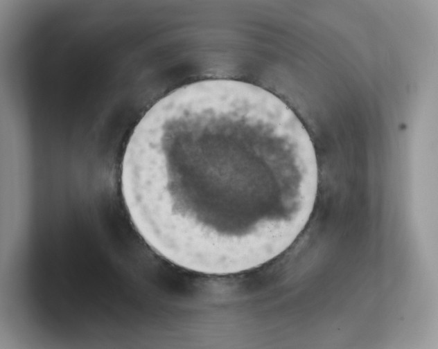X0000101650305200808071120