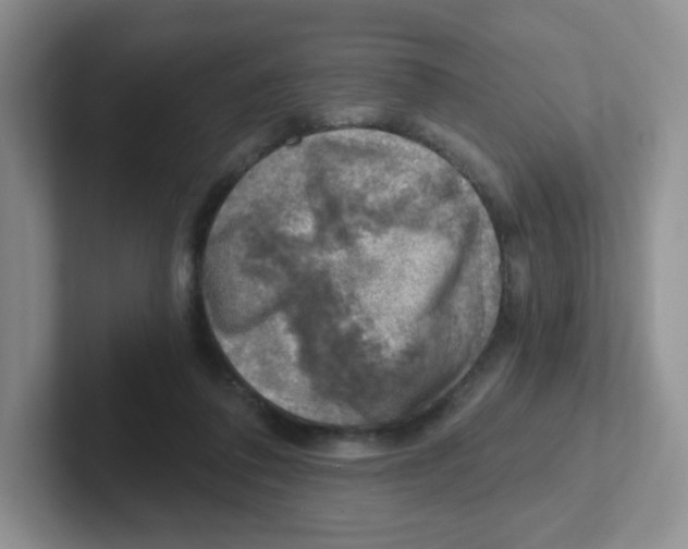 X0000101650308200808071120