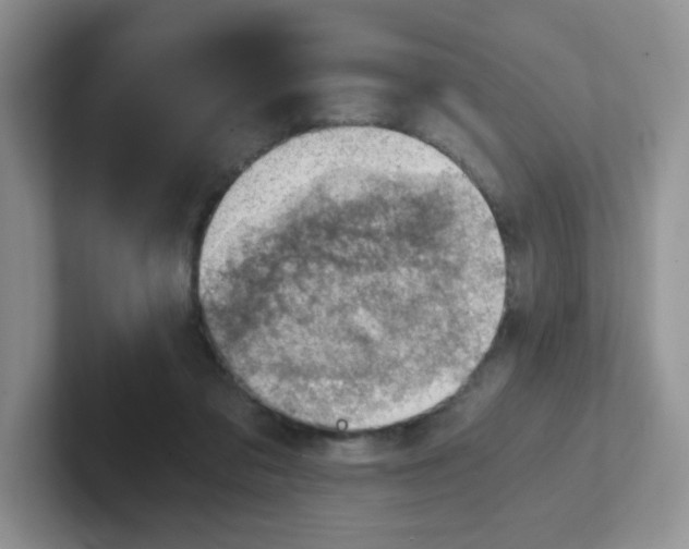 X0000101650309200808071120