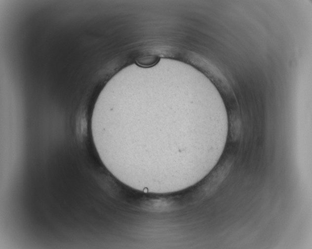X0000101650310200808071120