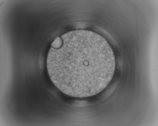 X0000101650311200808071120