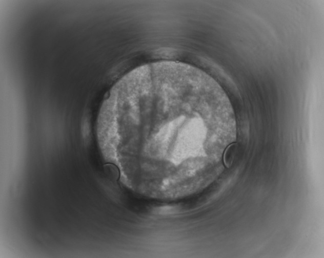 X0000101650312200808071120