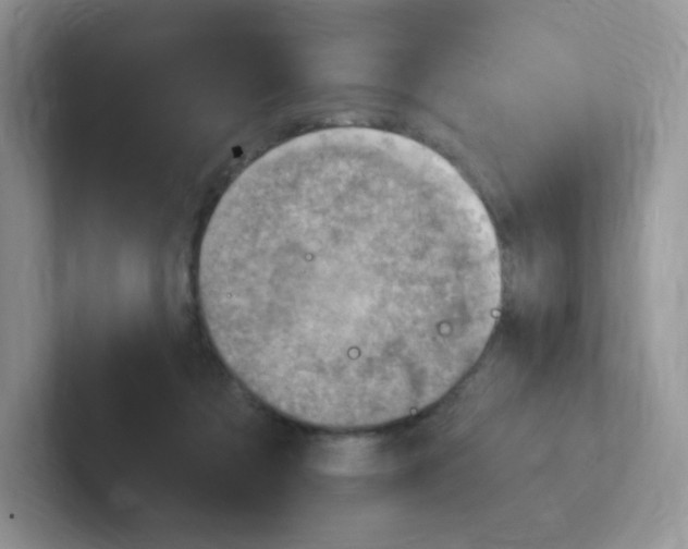 X0000101650313200808071120