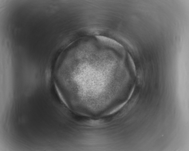 X0000101650314200808071120