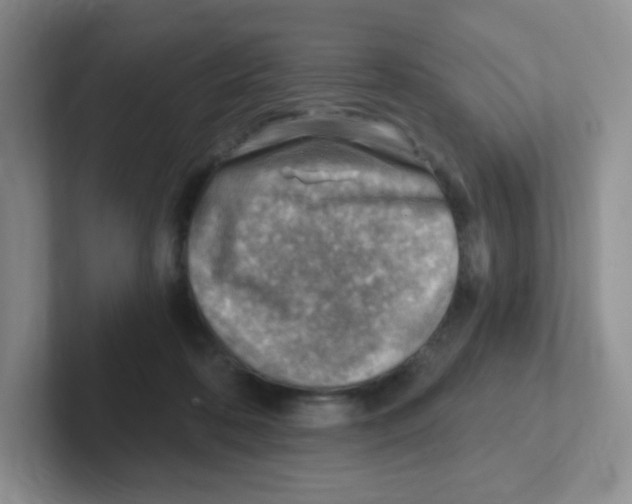 X0000101650316200808071120