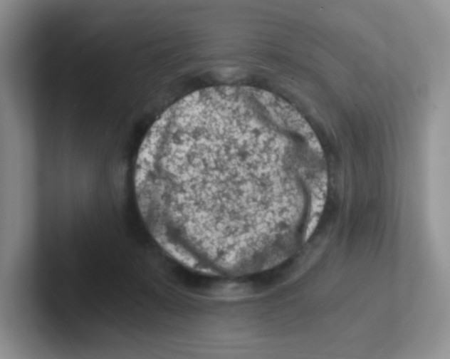 X0000101650319200808071120