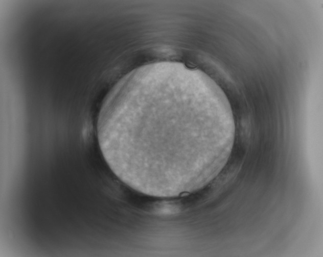 X0000101650320200808071120
