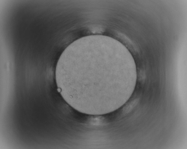 X0000101650321200808071120
