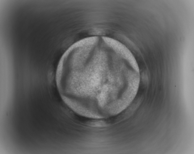X0000101650322200808071120