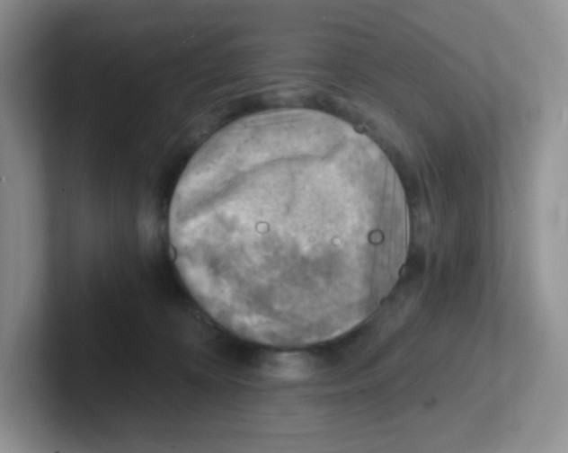X0000101650324200808071120