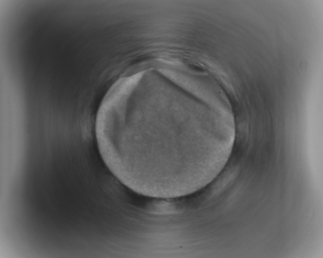 X0000101650325200808071120