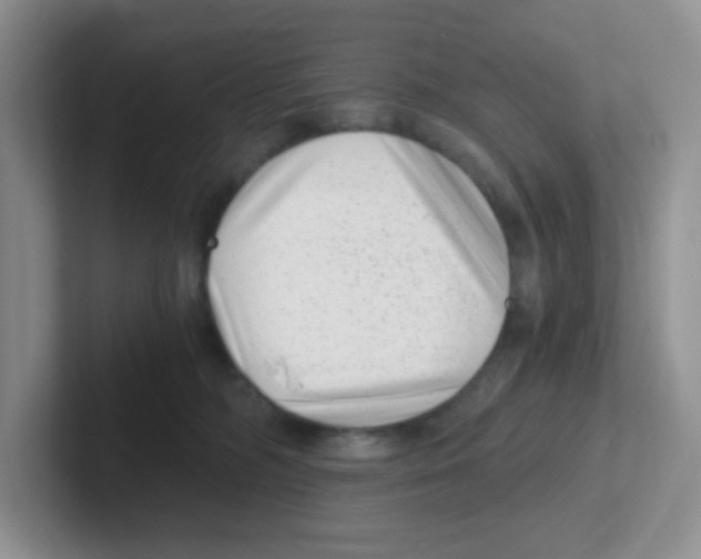 X0000101650326200808071120