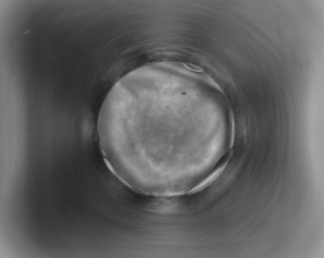 X0000101650328200808071120