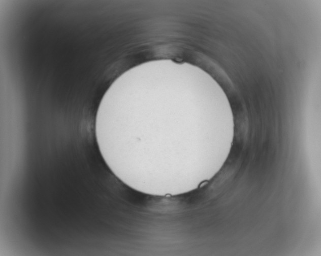 X0000101650329200808071120
