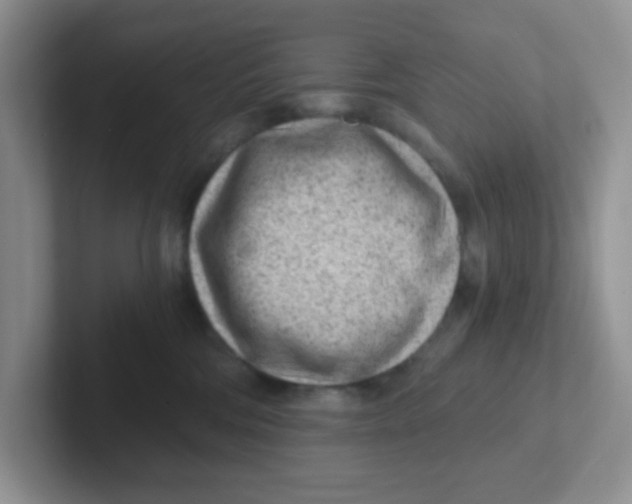 X0000101650330200808071120