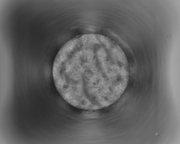 X0000101650331200808071120