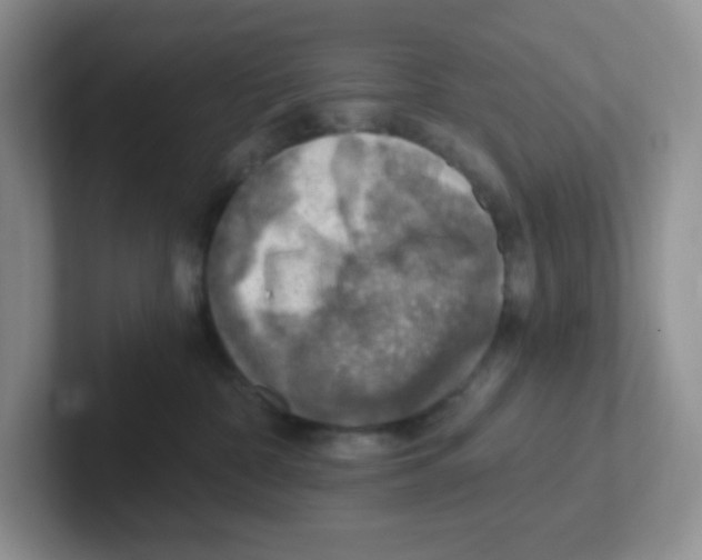 X0000101650332200808071120