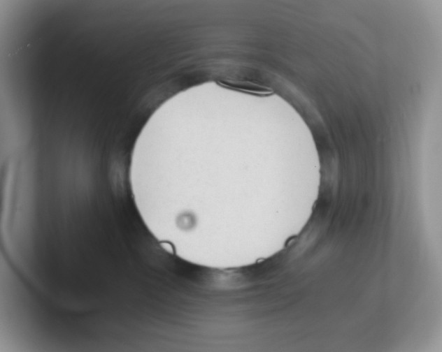 X0000101650333200808071120
