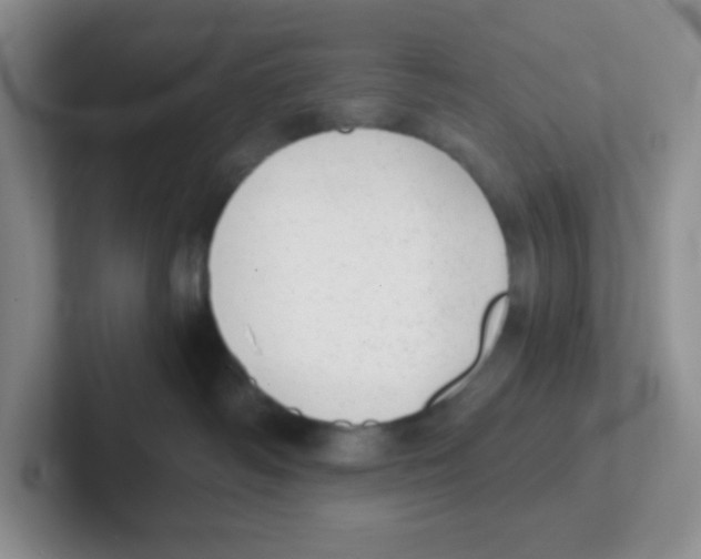 X0000101650334200808071120