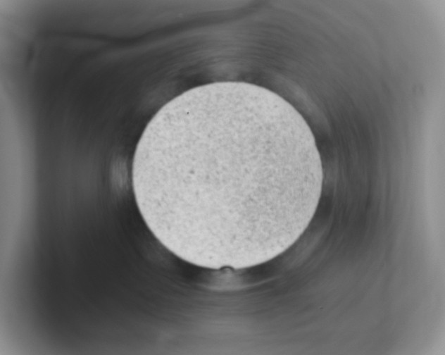 X0000101650335200808071120
