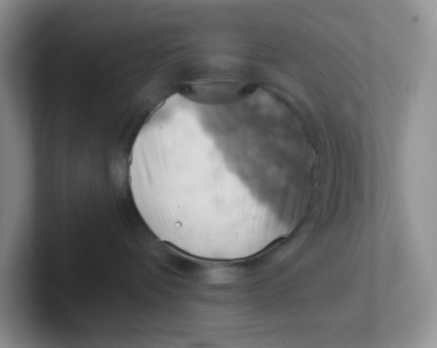 X0000101650336200808071120