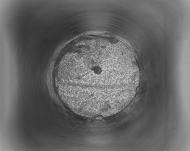 X0000101650337200808071119