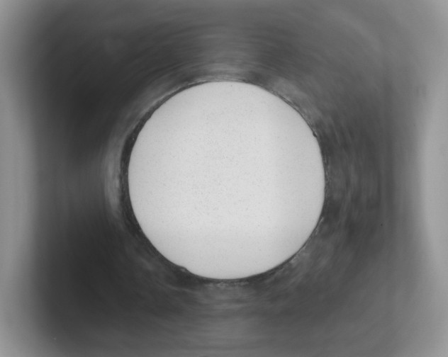 X0000101650338200808071119